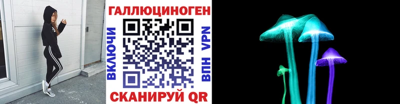 магазин  наркотиков  Видное  Псилоцибиновые грибы Psilocybine cubensis 